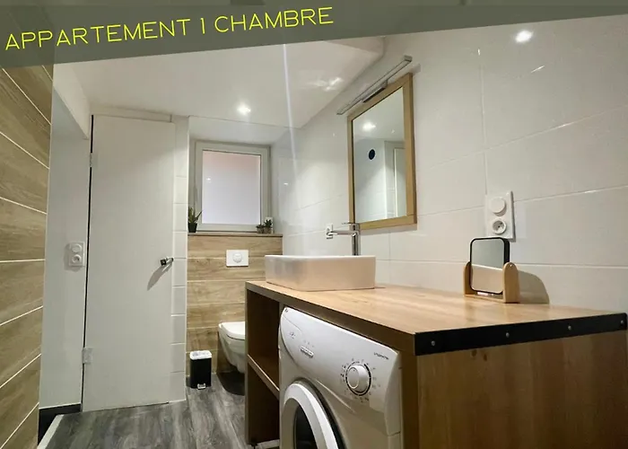 Du Pont Joubert Apartment Poitiers